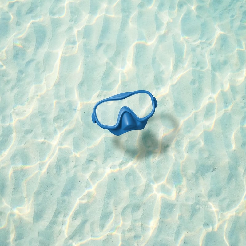 Snorkel Mask
